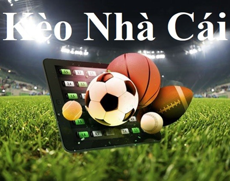 Trực Tiếp World Cup 2026 – Xem Bóng Đá Online Miễn Phí