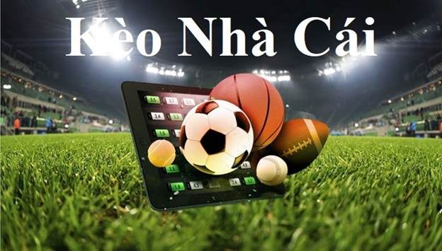 Trực Tiếp World Cup 2026 - Xem Bóng Đá Online Miễn Phí